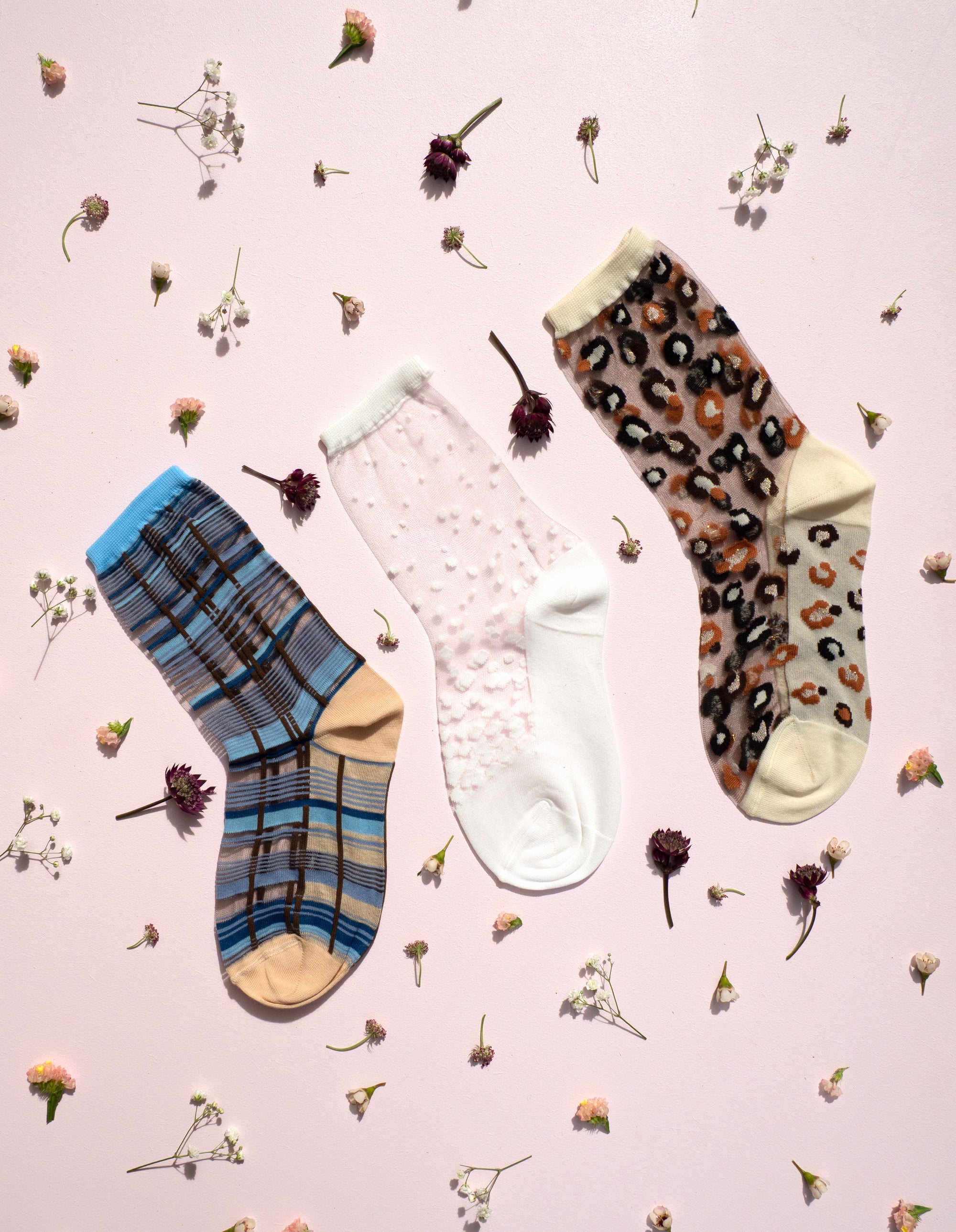 Spring Box