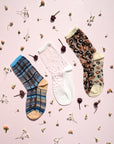 Spring Box
