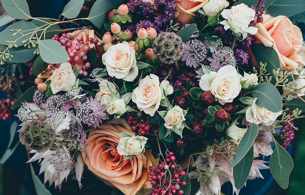 Les jolies fleurs de Pimpantes