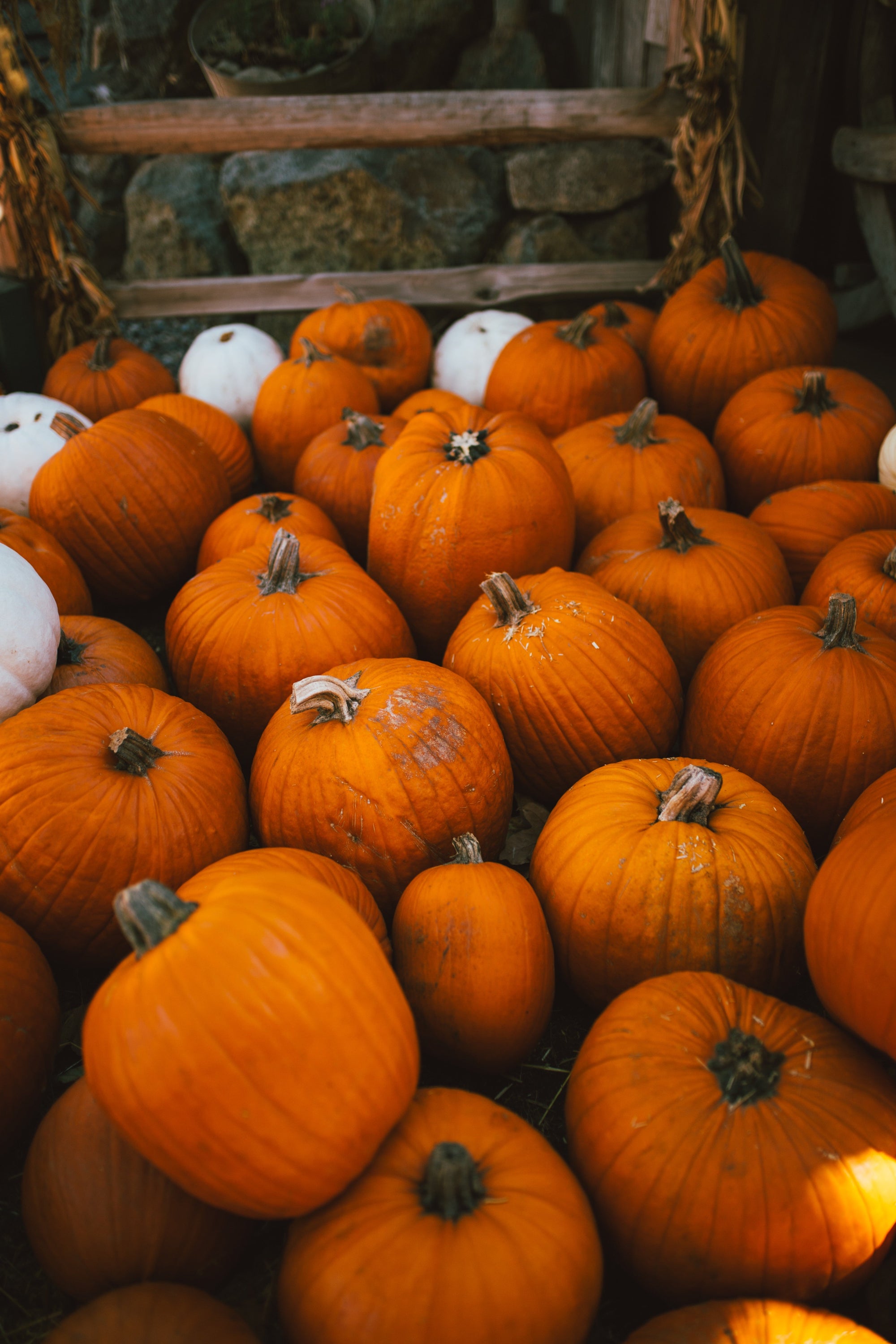 En savoir plus sur Halloween