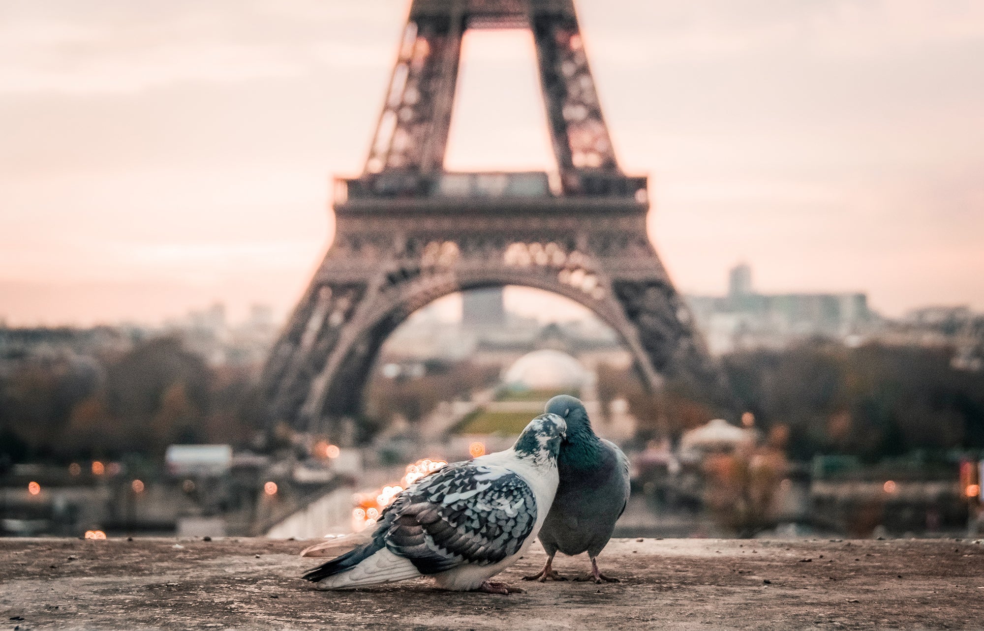 D’où vient la St Valentin ?